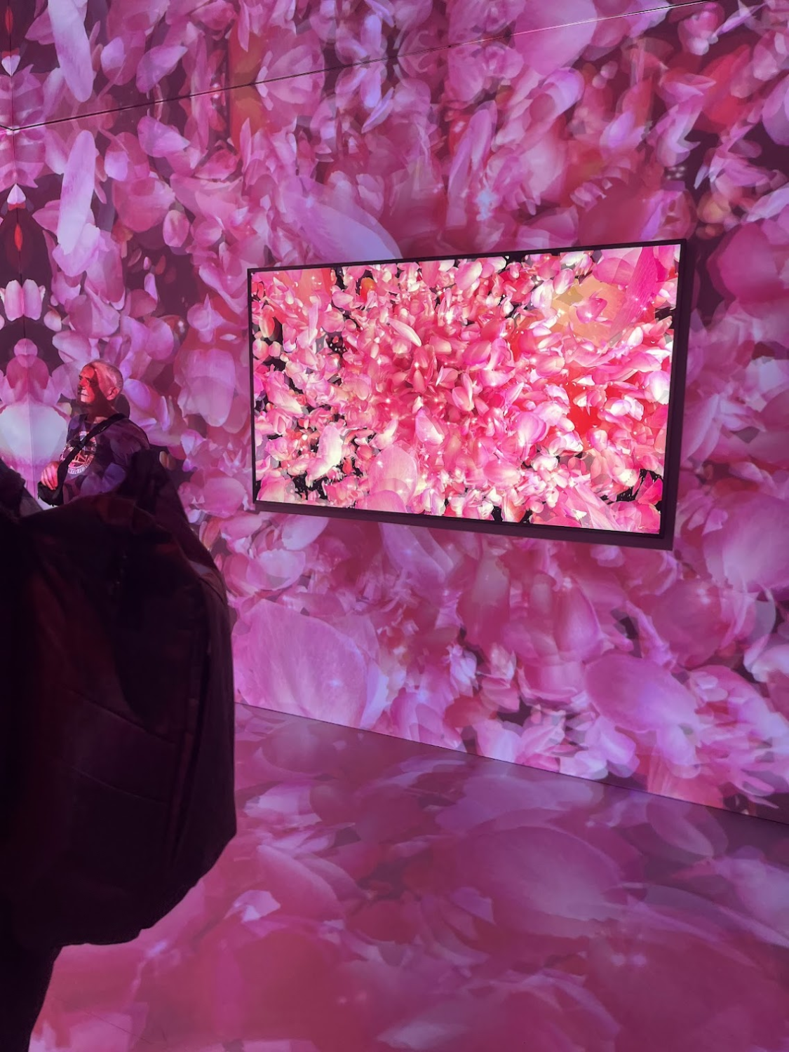 Dr. Smart Home visits IFA 2025