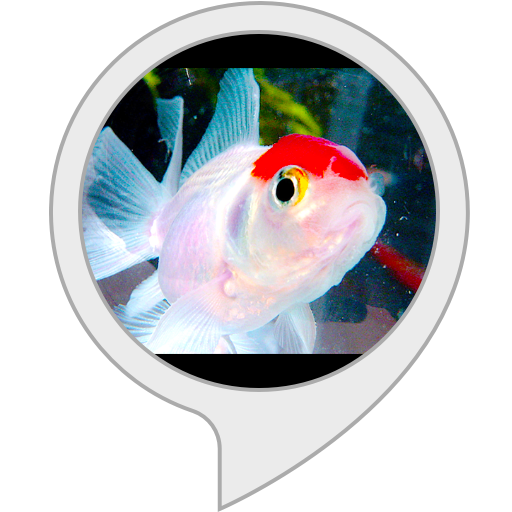 Combine Fish Tank and your GIRA HomeServer Combine Fish Tank and your GIRA HomeServer
