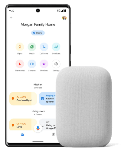 Google Home app & Google Assistant voice control with 1Home