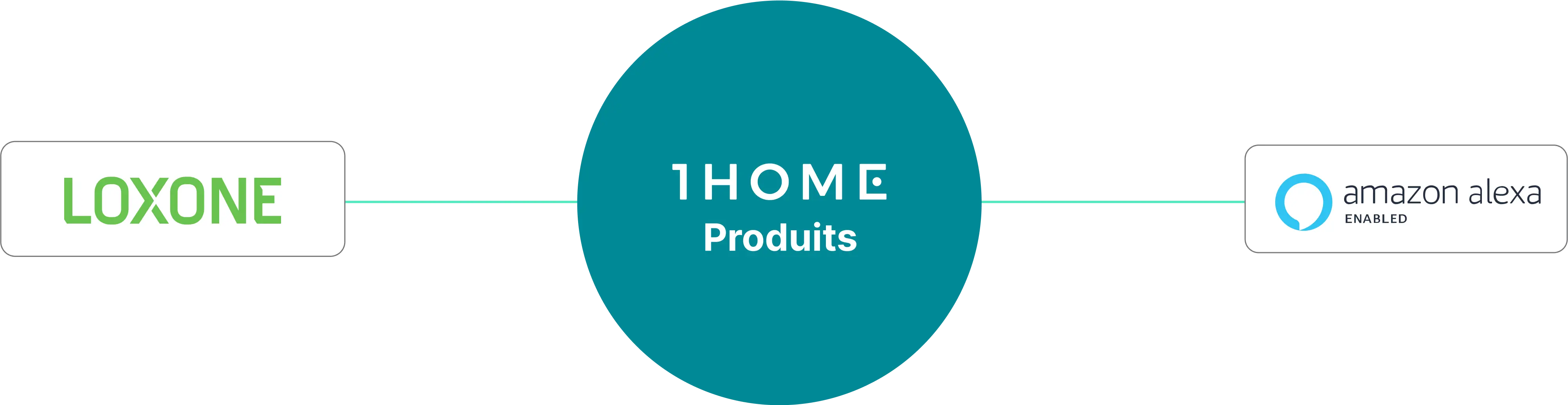 Connexion Alexa vers Loxone rendue simple avec 1Home