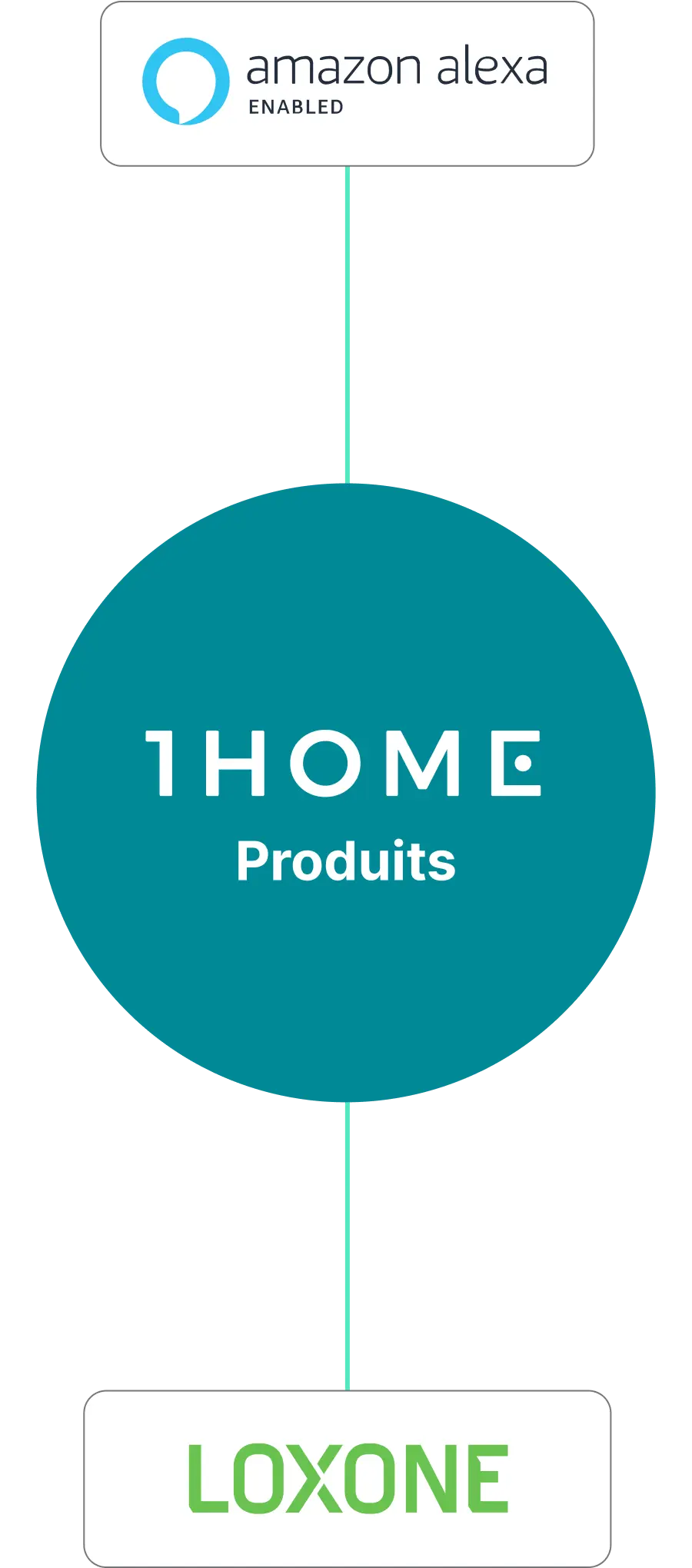 Connexion Alexa vers Loxone rendue simple avec 1Home