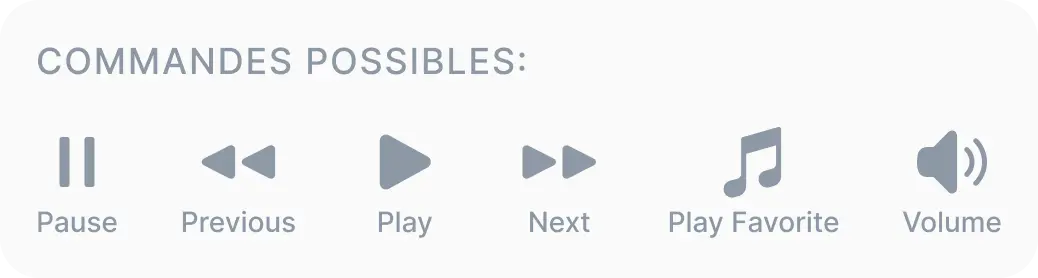 1Home IoT Gateway avec contrôles Sonos